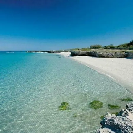 Dalmazia Fragagnano